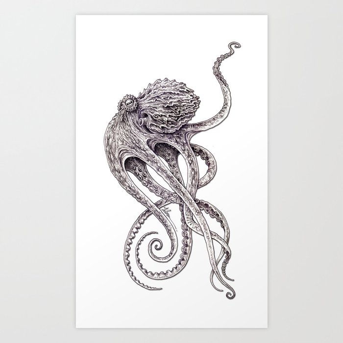 Cephalopod Art Print by TAOJB | Society6