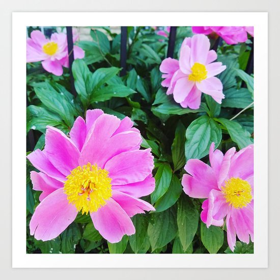 City Flowers 1 Art Print By Ashcurly Society6