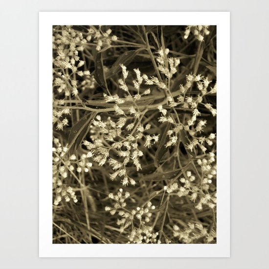 Tiny Fall Flowers Art Print