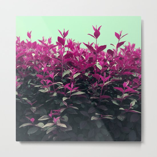Pink Spring Metal Print