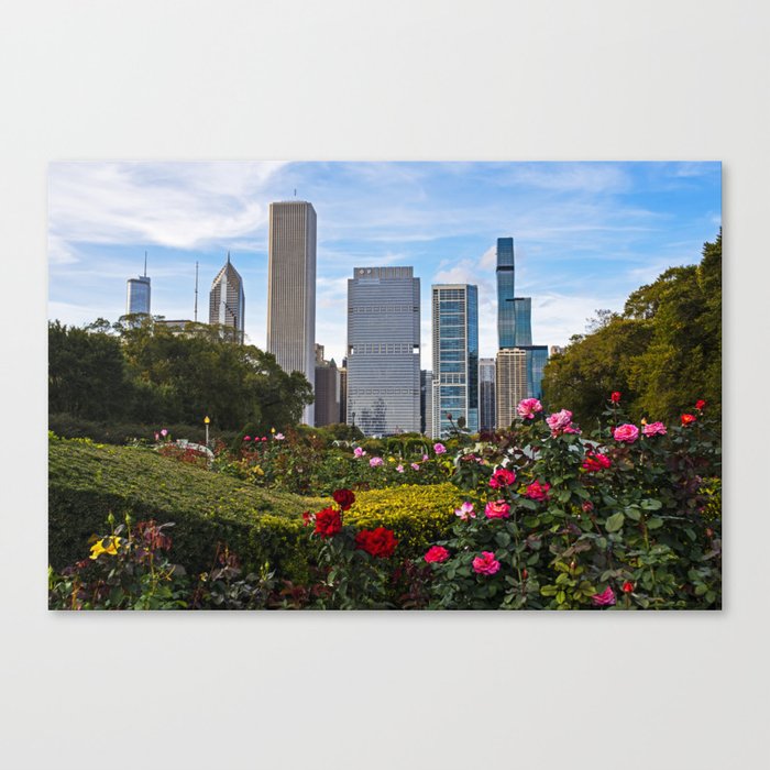 Chicago Illinois Skyline from the Formal Garden Roses Canvas Print