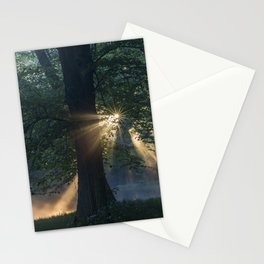 First rays Stationery Card