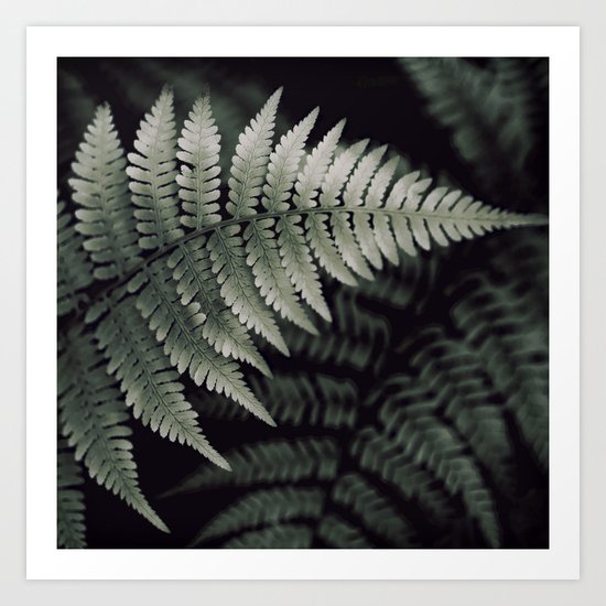 FERN Art Print