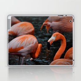 Flamingos in the rain Laptop & iPad Skin