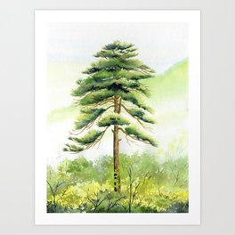 Lone Pine Art Print