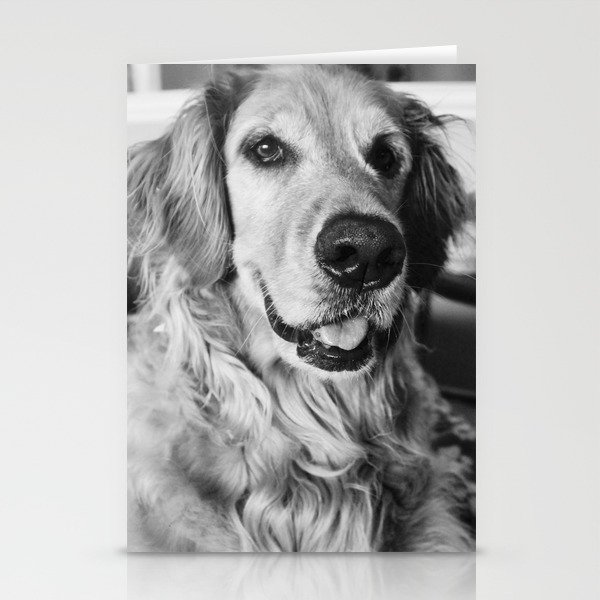 Black And White Golden Retriever Stationery Cards By Rislayy Society6