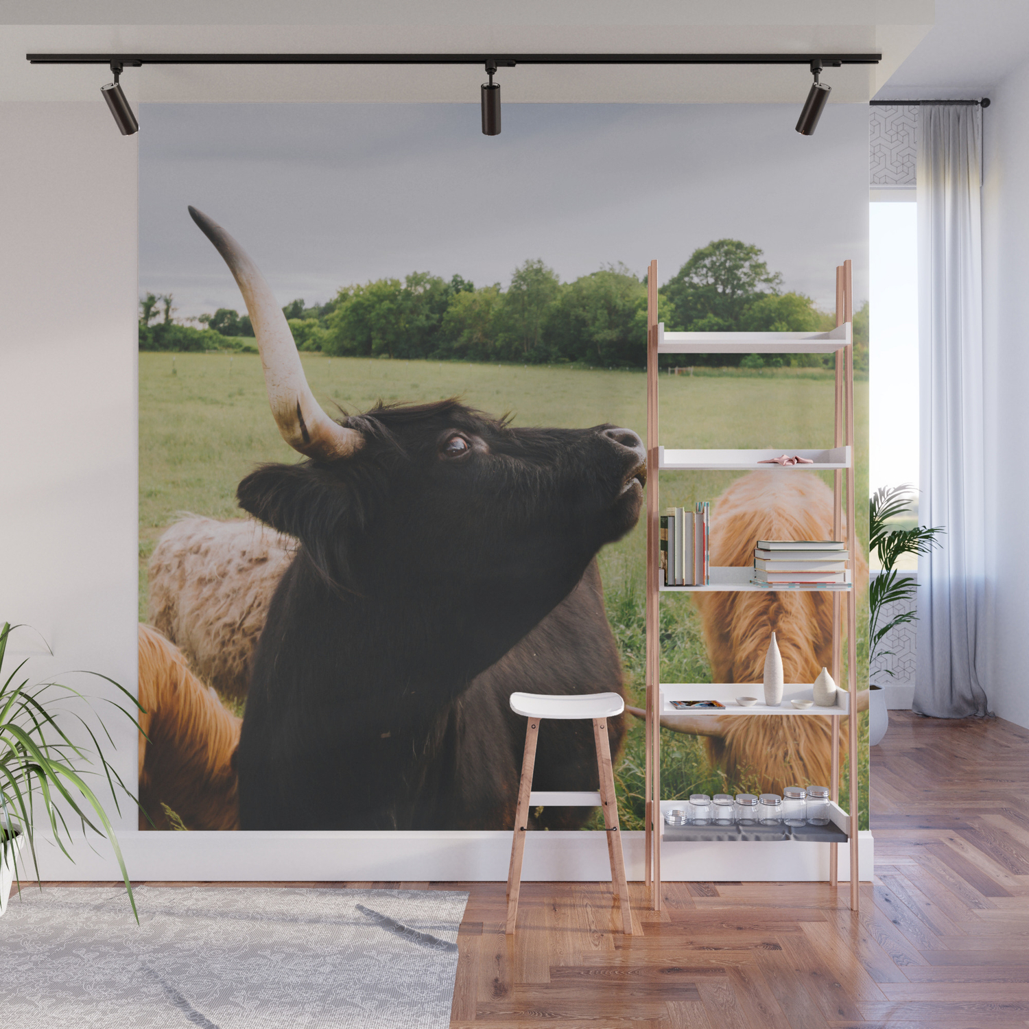 Majestic Highland Cow Wall Mural By Laurenwessel Society6