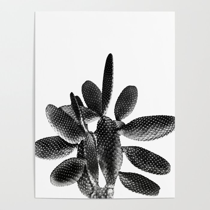 Black White Cactus #1 #plant #decor #art #society6 Poster