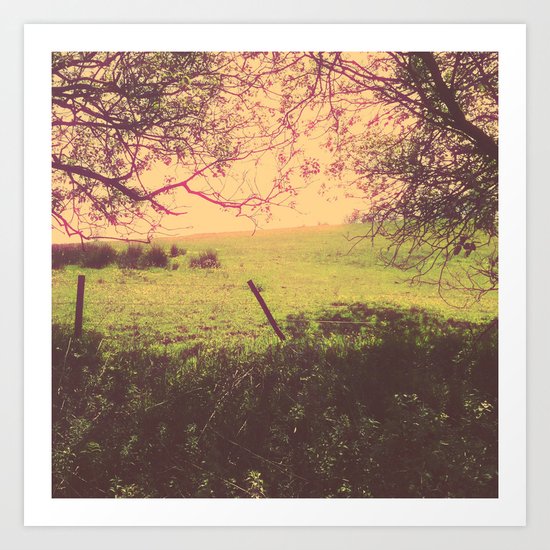 Hypnotic Fields Art Print