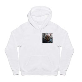 Stained glass window Hoody