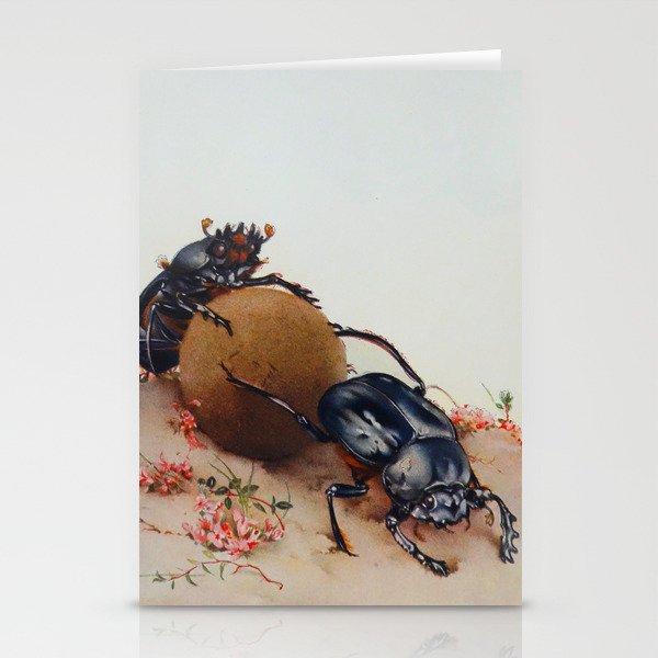 Dung beetles vintage art Stationery Cards