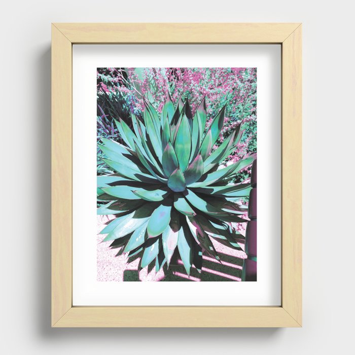 Contemporary Cactus Succulent Recessed Framed Print