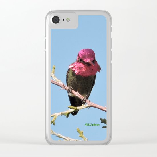 Mr. Anna's Hummingbird in Ideal Light Clear iPhone Case
