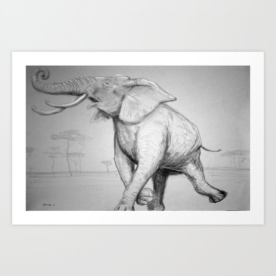 African Elephant Art Print