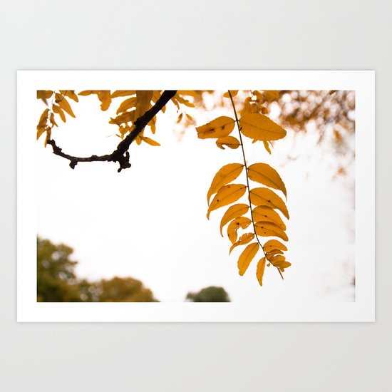 Yellow Art Print