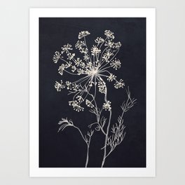 Minimalist Wild Plant 7 Black And White Art Print