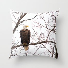 Bald Eagle Throw Pillow