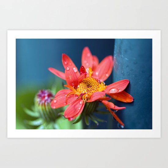 I must have flowers, always, and always. Art Print