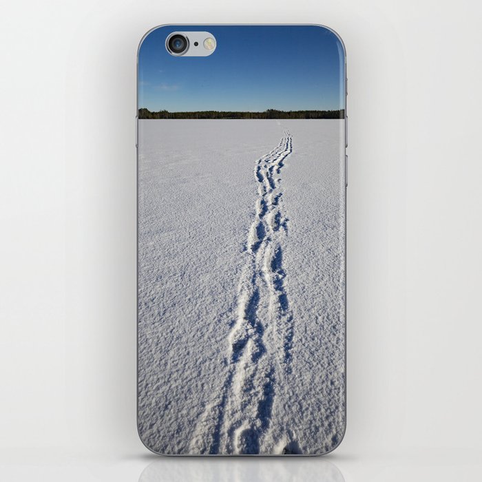 Into the wild iPhone Skin