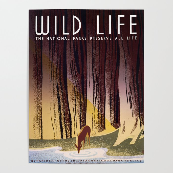 Wild Life - National Parks Preserve All Life Poster