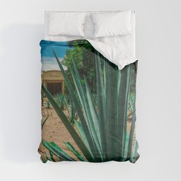 Mexico Photography - Agave Plant In A Mexican Garden Comforter