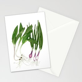 Ramps + Spring Onions Stationery Cards
