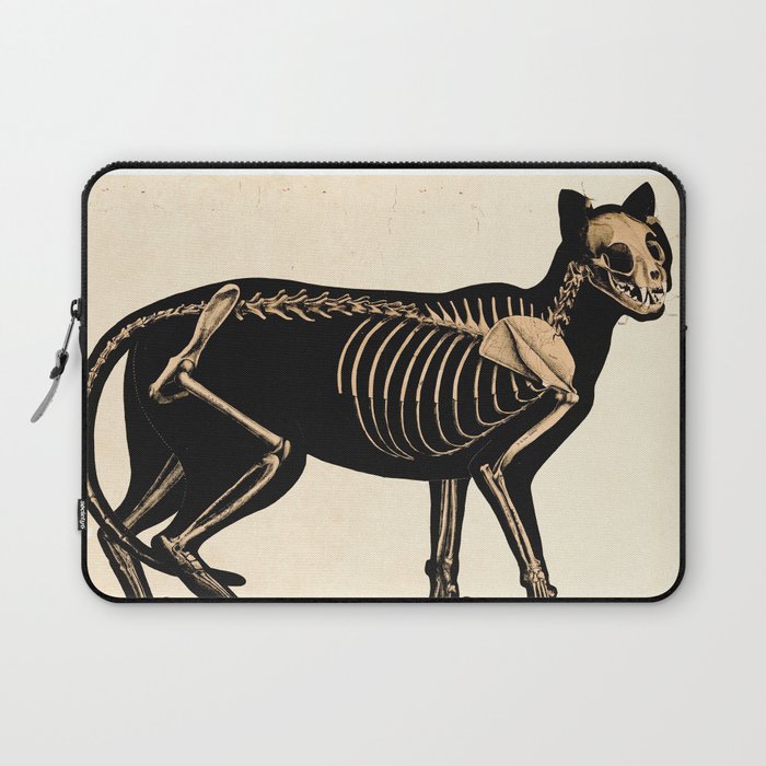 Vintage French zoological board - Cat skeleton Laptop Sleeve