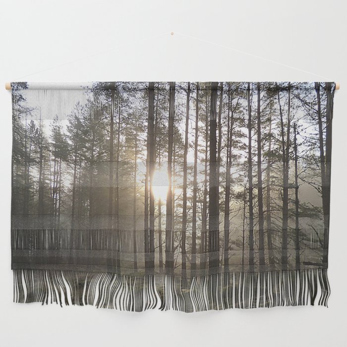Scottish Pine Trees Sunray View in Afterglow  Wall Hanging