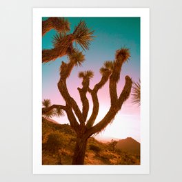 Joshua Tree Desert Sunset Art Print