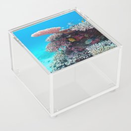 Sea Fish Acrylic Box