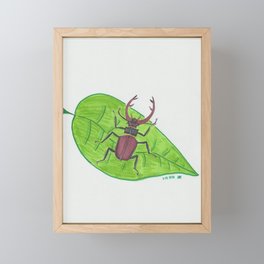 Going Stag Beetle Framed Mini Art Print