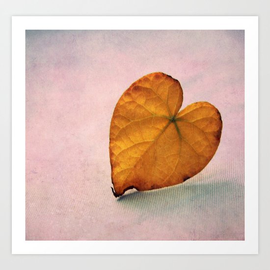 Amo Art Print