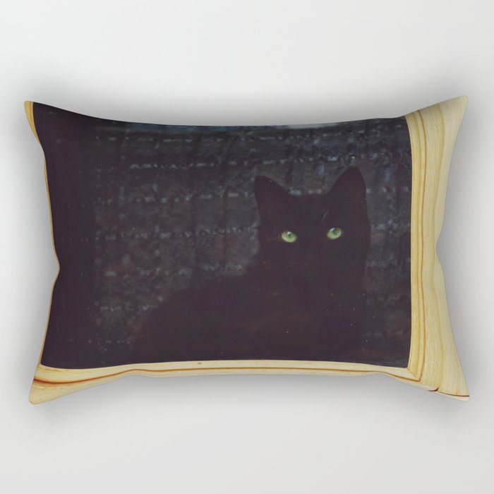 Black Cat Aesthetic - Animal Photography Rectangular Pillow