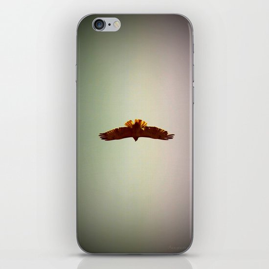 Hawk Eyes iPhone & iPod Skin