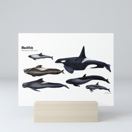 Blackfish Mini Art Print