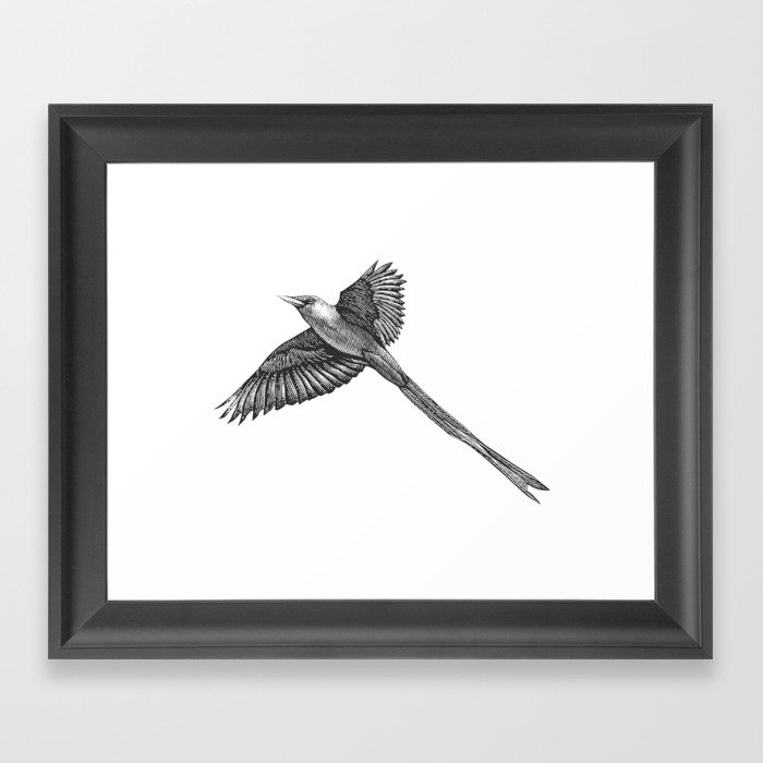 bird 6 Framed Art Print