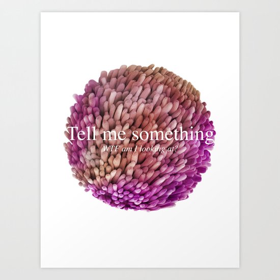 WTF am I looking at? Art Print