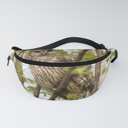 Watchful mom barred owl Fanny Pack