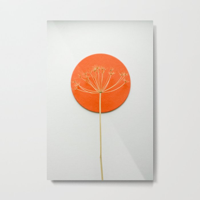 Orange circle and dried flower Metal Print