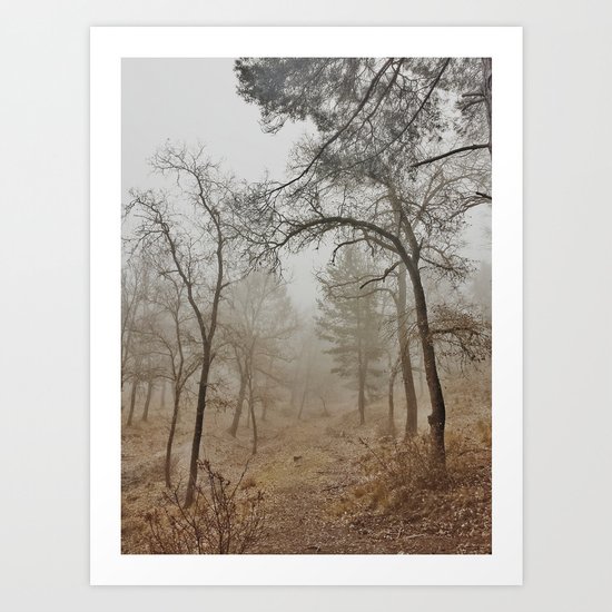 "Mistery forest". Wandering today Art Print