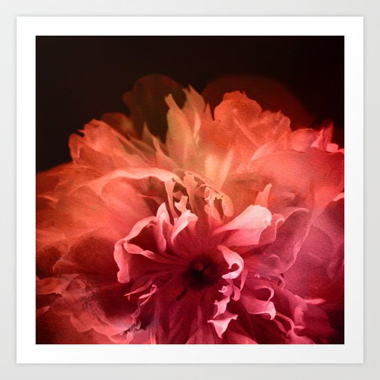 Dream Flower 8 Art Print