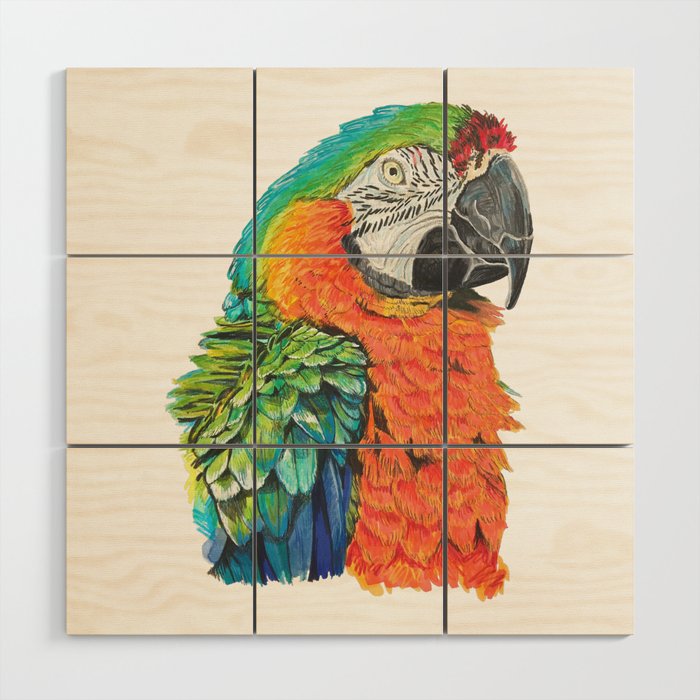 macaw parrot Wood Wall Art
