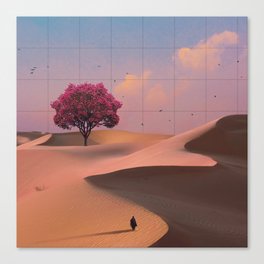 Solace Canvas Print