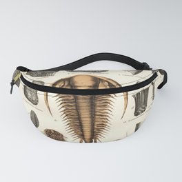 Fossil Chart Fanny Pack