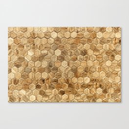 Hexagon wood tiles pattern background Canvas Print
