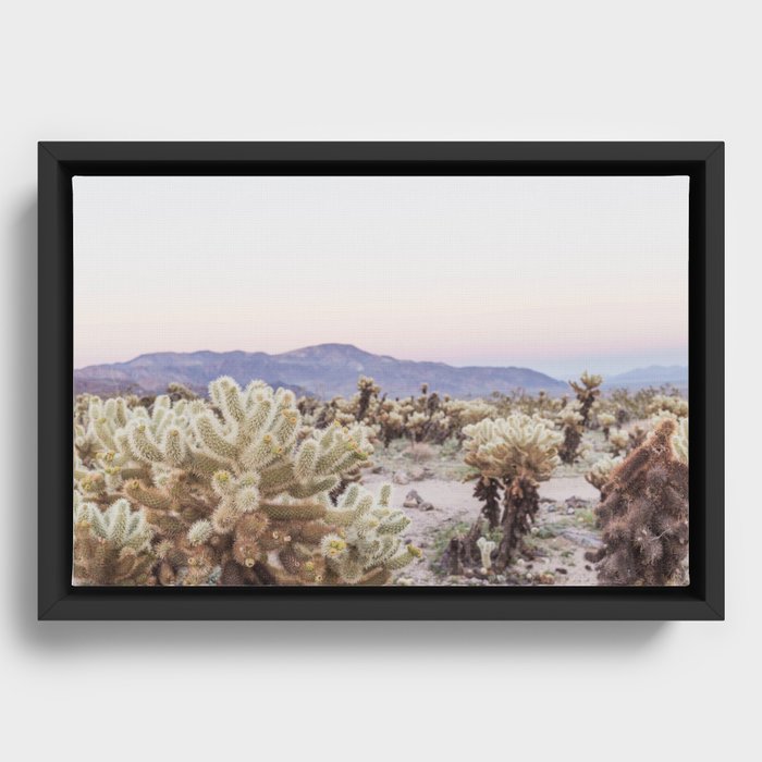 Joshua Tree Cholla Cactus Garden at Sunset Framed Canvas