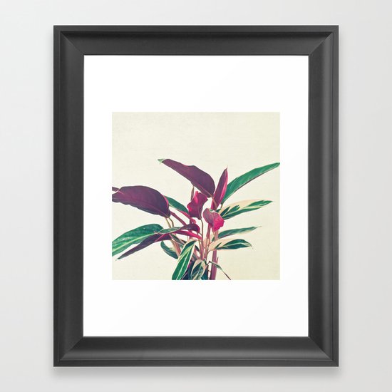 Prayer Plant Framed Art Print