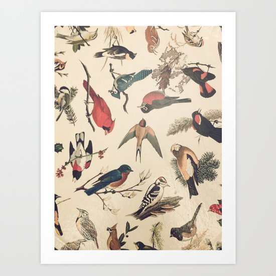 Vintage Songbirds Art Print