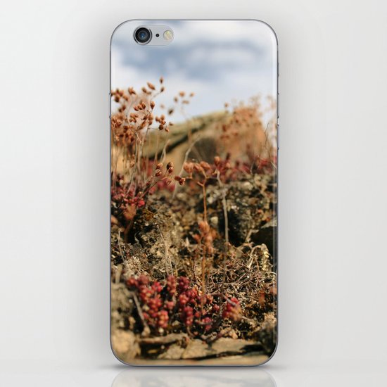 Soul Nature iPhone & iPod Skin