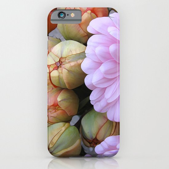 Daisy Loves Tulips iPhone & iPod Case